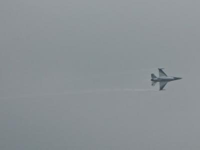 DSC01273 (1)